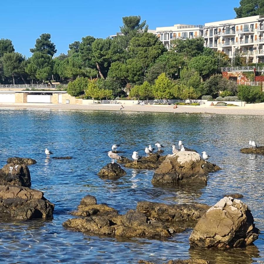 Vila Tena Rovinj Croatia 外观 照片