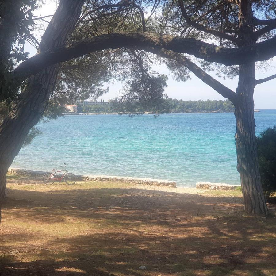 Vila Tena Rovinj Croatia 外观 照片