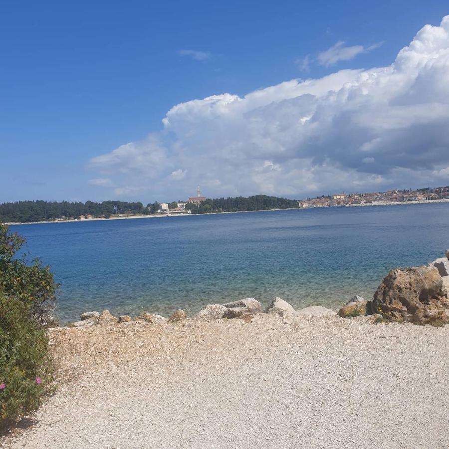 Vila Tena Rovinj Croatia 外观 照片