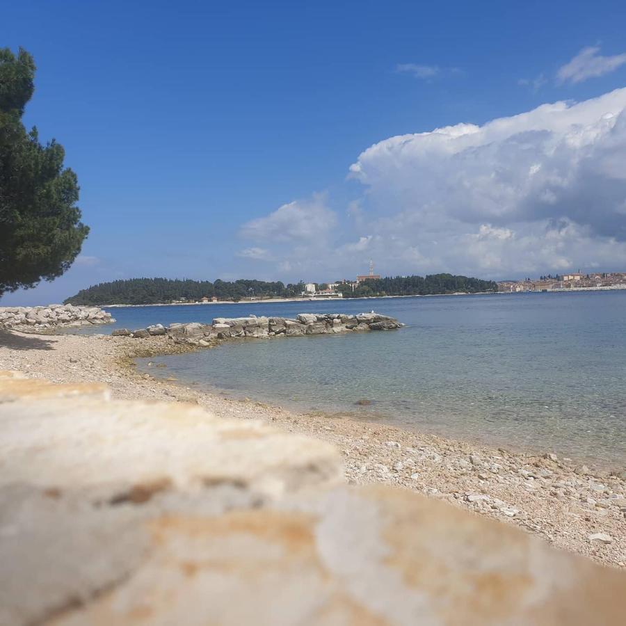 Vila Tena Rovinj Croatia 外观 照片
