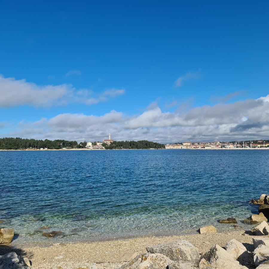 Vila Tena Rovinj Croatia 外观 照片
