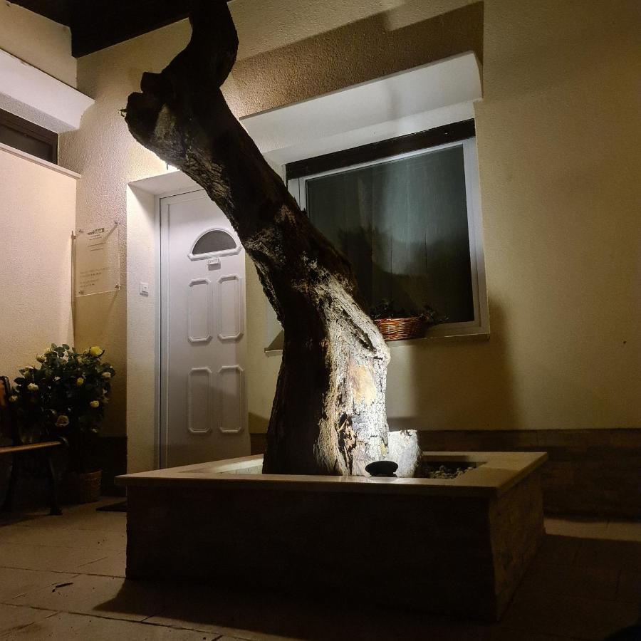 Vila Tena Rovinj Croatia 外观 照片