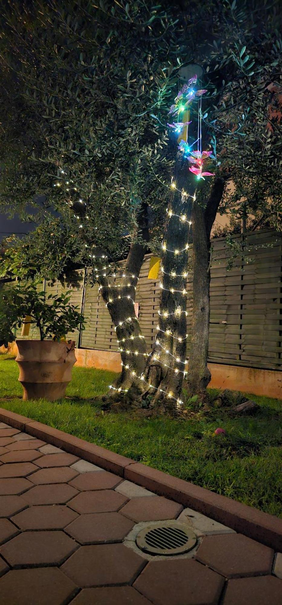 Vila Tena Rovinj Croatia 外观 照片